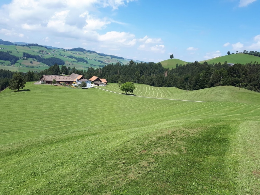 Unser Bauernhof